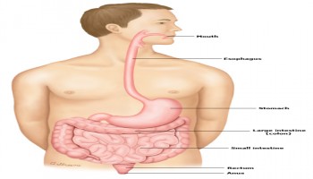 Những điều cần biết về ung thư dạ dày